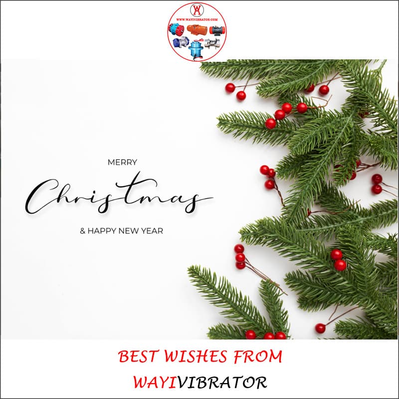 WAYIVIBRATOR wish you a Merry Christmas and A Happy New Year