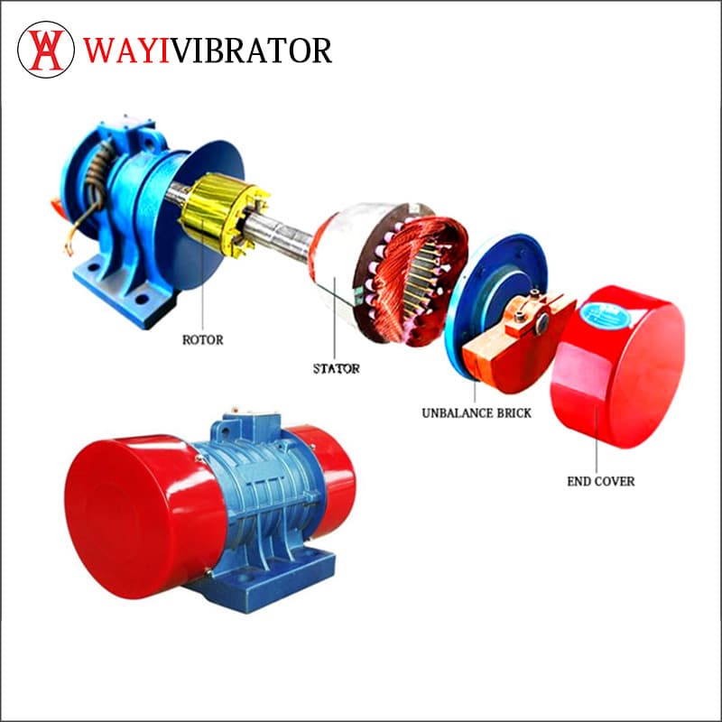 The-structure-of-the-vibrator-motor.jpg